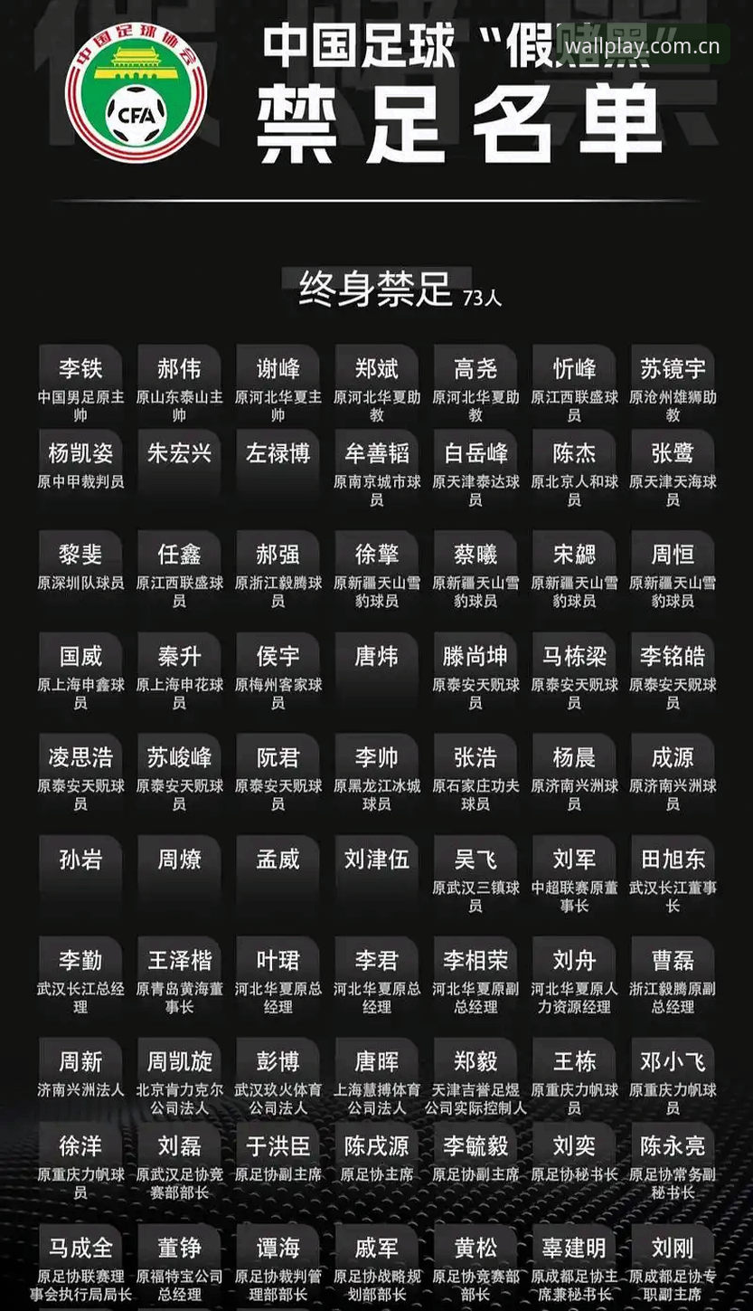 中国足协第三批禁足名单全面解析：65人受罚背后的行业生态深度分析